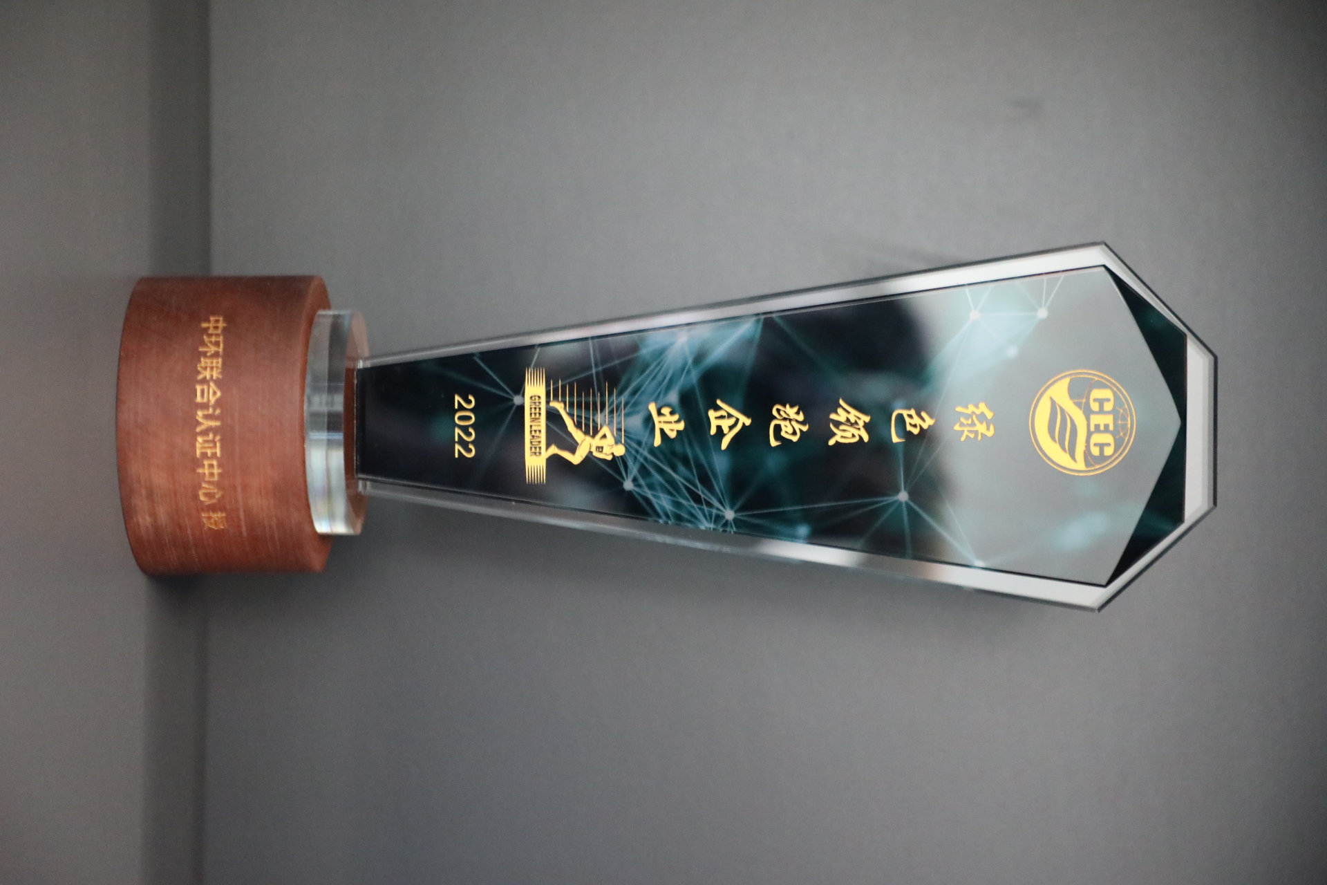 美巢深耕家裝環(huán)保輔料賽道，榮獲“綠色領(lǐng)跑企業(yè)”稱號(hào)